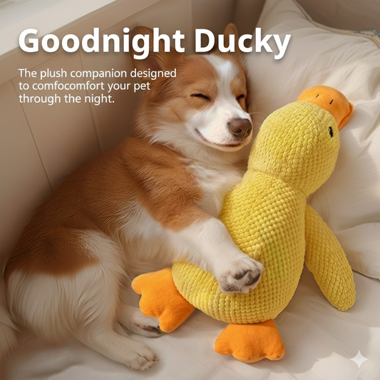 Quackers the Cuddle Duck - Durable Plush Dog Toy with Crinkle and Squeaker